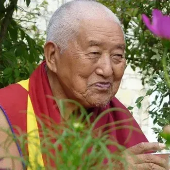 Tenzin Namdak Rinpoche​